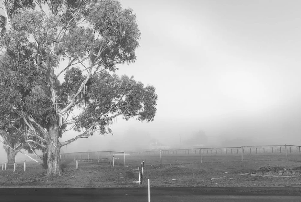 West Covina, CA: Discover the Jewel of Southern California and its Beautiful Weather