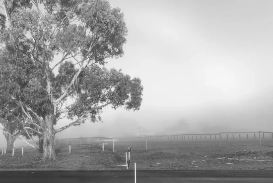 West Covina, CA: Discover the Jewel of Southern California and its Beautiful Weather